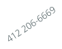 412 206-6669