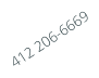 412 206-6669