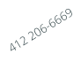 412 206-6669